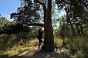 Практика «Движение опоры»